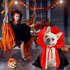 Spook-tacular Halloween Costumes for Your Medium Pup! 🐾🎃 Transform your furry friend into a charming vampire or mischievous devil this Halloween!👻🐶 #DogCostumes #HalloweenVibes