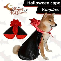 Spook-tacular Halloween Costumes for Your Medium Pup! 🐾🎃 Transform your furry friend into a charming vampire or mischievous devil this Halloween!👻🐶 #DogCostumes #HalloweenVibes