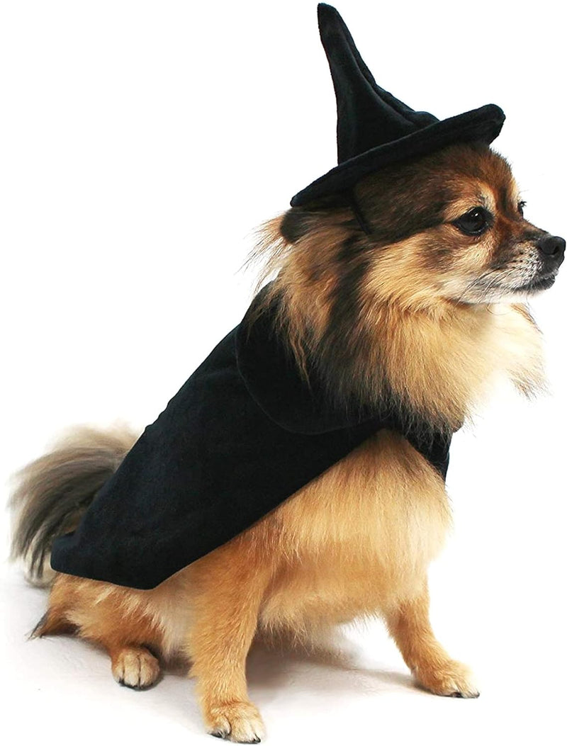 🎃🖤 Spook-tacular Medium Witch Cape & Hat Costume for Dogs! 🐾✨ Perfect for Halloween fun! 🐶👻