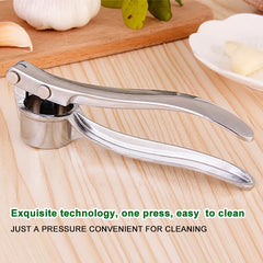 Stainless Steel Garlic Press