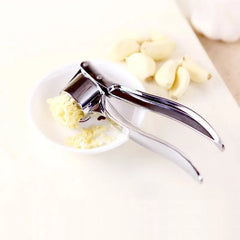 Stainless Steel Garlic Press