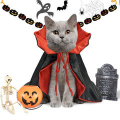 Spook-tacular Halloween Costumes for Your Medium Pup! 🐾🎃 Transform your furry friend into a charming vampire or mischievous devil this Halloween!👻🐶 #DogCostumes #HalloweenVibes