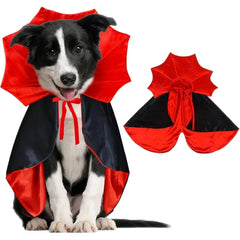 Spook-tacular Halloween Costumes for Your Medium Pup! 🐾🎃 Transform your furry friend into a charming vampire or mischievous devil this Halloween!👻🐶 #DogCostumes #HalloweenVibes