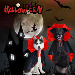 Spook-tacular Halloween Costumes for Your Medium Pup! 🐾🎃 Transform your furry friend into a charming vampire or mischievous devil this Halloween!👻🐶 #DogCostumes #HalloweenVibes