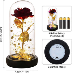 Rose in Glass Dome, Colorful LED Lights