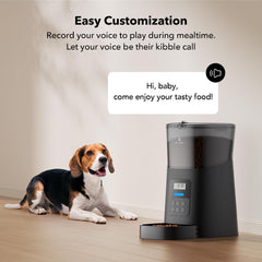 Automatic Pet Feeder 