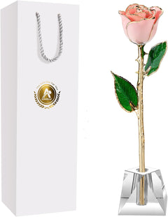 Eternal Elegance: 24K Gold-Dipped Real Rose with Stand