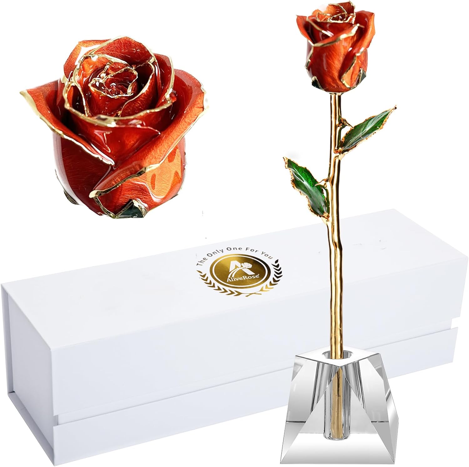 Eternal Elegance: 24K Gold-Dipped Real Rose with Stand