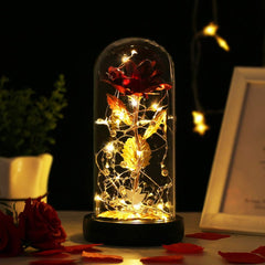 Rose in Glass Dome, Colorful LED Lights