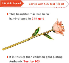 Eternal Elegance: 24K Gold-Dipped Real Rose with Stand