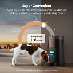 Automatic Pet Feeder 