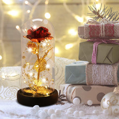 Rose in Glass Dome, Colorful LED Lights